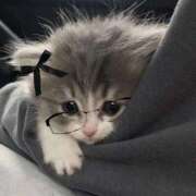 ヒメ日記 2025/08/16 10:20 投稿 まお 新宿ハンドメイド