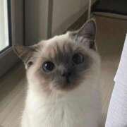 ヒメ日記 2025/08/26 22:43 投稿 まお 新宿ハンドメイド