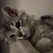 ヒメ日記 2025/09/25 16:33 投稿 まお 新宿ハンドメイド