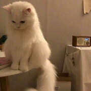 まお ごめんなさい😭 新宿ハンドメイド