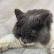 ヒメ日記 2025/10/24 20:49 投稿 アヤミ マドンナ(仙台)