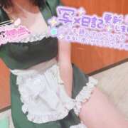 小鳥遊　おとは 🌸今週の出勤予定とお知らせ📅 メイドin西川口（埼玉ハレ系）