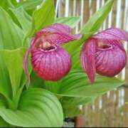 ヒメ日記 2025/09/25 13:21 投稿 みさき eroina