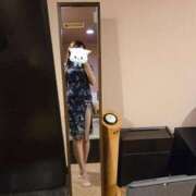 ヒメ日記 2025/12/15 23:48 投稿 高梨　ひな プルプル倶楽部 札幌すすきの店