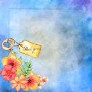 ヒメ日記 2026/03/21 01:57 投稿 ほたる ナチュラルプリンセス