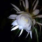 ヒメ日記 2025/11/30 13:15 投稿 そら 丸妻 厚木店