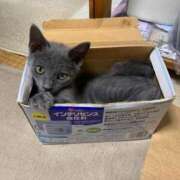 ヒメ日記 2025/12/07 17:49 投稿 そら 丸妻 厚木店