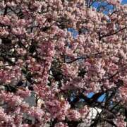 ヒメ日記 2026/02/09 11:21 投稿 そら 丸妻 厚木店