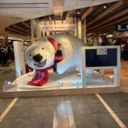 ヒメ日記 2026/03/30 19:35 投稿 そら 丸妻 厚木店