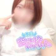 ヒメ日記 2025/09/25 08:52 投稿 アミル ピカソ