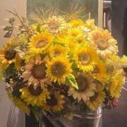 ヒメ日記 2025/08/23 09:16 投稿 アユカ ピカソ