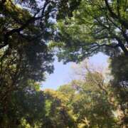 ヒメ日記 2025/10/09 10:38 投稿 アユカ ピカソ