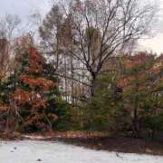 ヒメ日記 2025/11/11 22:41 投稿 アユカ ピカソ