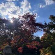 ヒメ日記 2025/11/20 18:34 投稿 アユカ ピカソ