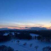 アユカ お知らせ ピカソ