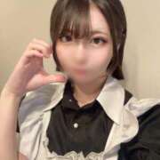 ヒメ日記 2025/08/28 10:05 投稿 カヤ ピカソ