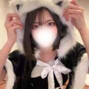 ヒメ日記 2025/12/25 20:48 投稿 カヤ ピカソ