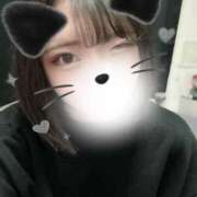 ヒメ日記 2026/01/30 15:33 投稿 カヤ ピカソ