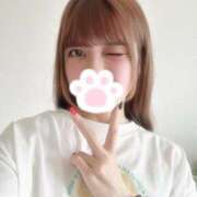 ヒメ日記 2025/08/22 09:00 投稿 カルア ピカソ