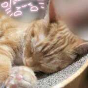 ヒメ日記 2025/11/09 22:00 投稿 カルア ピカソ