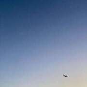 ヒメ日記 2026/04/04 20:31 投稿 サクノ ピカソ