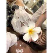 ヒメ日記 2025/09/02 09:28 投稿 サツキ ピカソ