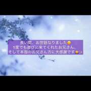 ヒメ日記 2026/01/16 20:39 投稿 サツキ ピカソ