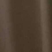 ヒメ日記 2025/11/11 20:00 投稿 ソラネ ピカソ