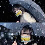 ヒメ日記 2025/11/22 16:00 投稿 ソラネ ピカソ