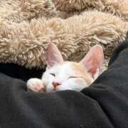 ヒメ日記 2026/01/02 21:14 投稿 ソラネ ピカソ