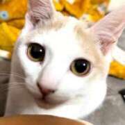 ヒメ日記 2026/01/25 09:59 投稿 ソラネ ピカソ