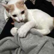 ヒメ日記 2026/01/30 19:23 投稿 ソラネ ピカソ