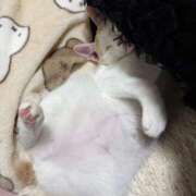 ヒメ日記 2026/02/02 23:44 投稿 ソラネ ピカソ