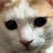 ヒメ日記 2026/02/06 23:21 投稿 ソラネ ピカソ