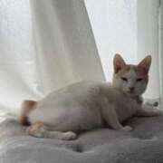 ヒメ日記 2026/02/09 22:46 投稿 ソラネ ピカソ