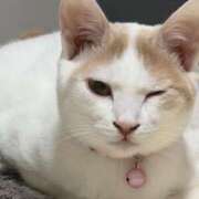 ヒメ日記 2026/02/23 00:16 投稿 ソラネ ピカソ