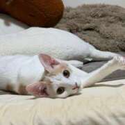 ソラネ 13：00〜出勤😘 ピカソ