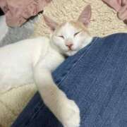 ヒメ日記 2026/03/23 15:26 投稿 ソラネ ピカソ