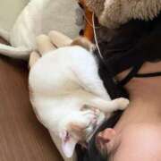 ヒメ日記 2026/03/29 08:56 投稿 ソラネ ピカソ