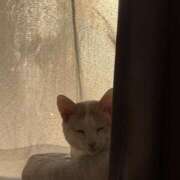 ヒメ日記 2026/03/31 13:32 投稿 ソラネ ピカソ