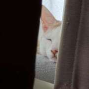 ヒメ日記 2026/04/01 14:41 投稿 ソラネ ピカソ