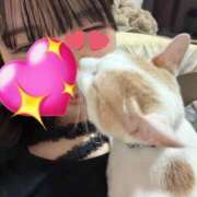 ヒメ日記 2026/04/22 22:46 投稿 ソラネ ピカソ