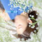 ヒメ日記 2025/08/08 00:12 投稿 トア ピカソ