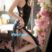 ヒメ日記 2025/08/24 08:01 投稿 トア ピカソ