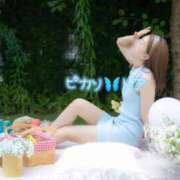 ヒメ日記 2025/09/08 08:30 投稿 トア ピカソ