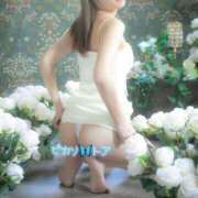 ヒメ日記 2025/09/12 08:30 投稿 トア ピカソ