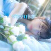 ヒメ日記 2025/09/25 10:16 投稿 トア ピカソ