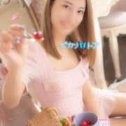 ヒメ日記 2025/10/19 08:30 投稿 トア ピカソ