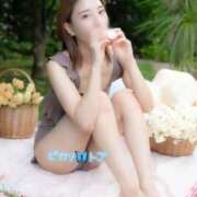 ヒメ日記 2025/10/29 09:08 投稿 トア ピカソ