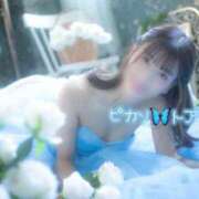 ヒメ日記 2025/12/18 21:31 投稿 トア ピカソ